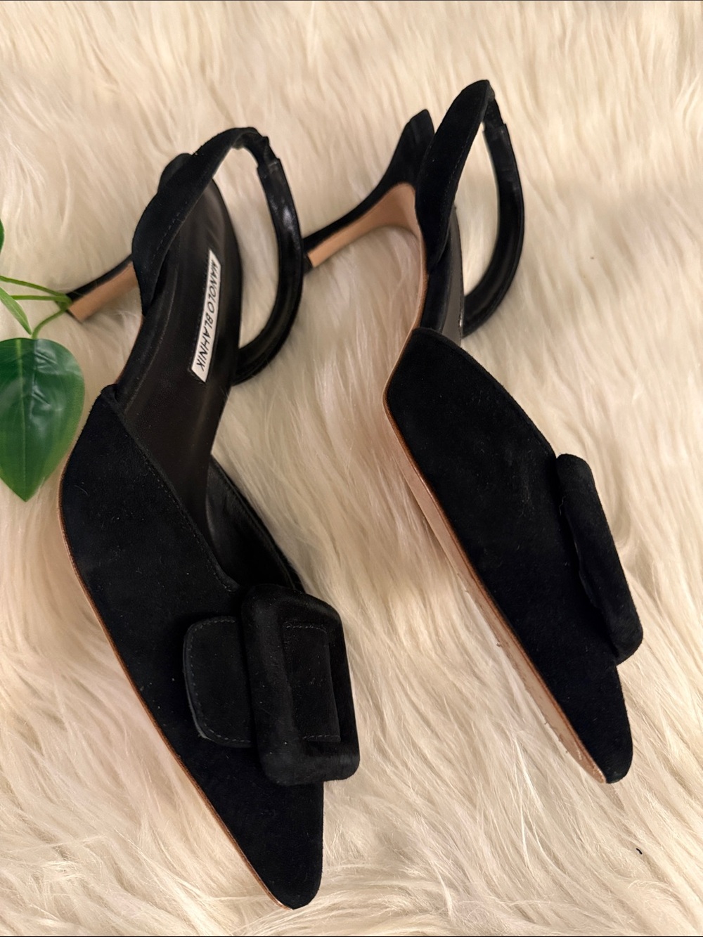 Manolo Blahnik Maysli Black Suede Buckle Slingbacks - Picture 6 of 11